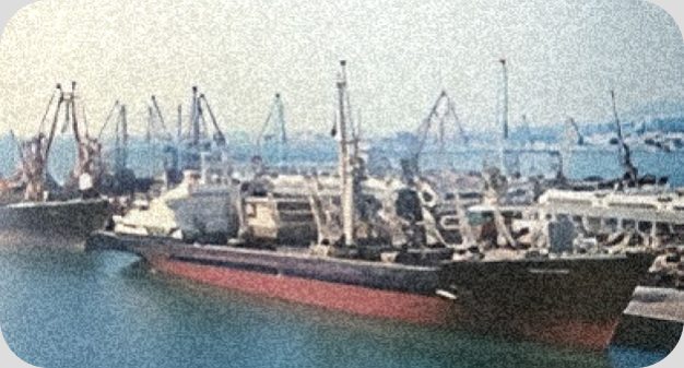 1950-1960