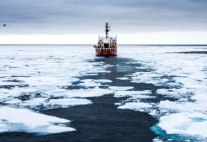 ПортНьюс: «Совфрахт» - ответственный за половину грузов в Арктике 