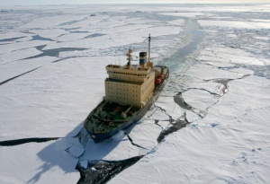 В Арктике продолжает работу Первый арктический консорциум