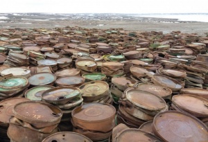 ПАО «Совфрахт» в 2017 году обеспечивает вывоз 1800 тонн арктического мусора