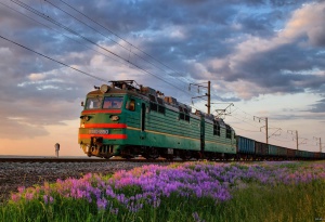 Объем железнодорожных перевозок ПАО «Совфрахт» вырос на 37%