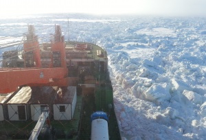 Дмитрий Пурим: "Присутствие иностранных партнеров в проектах в Арктике важно"